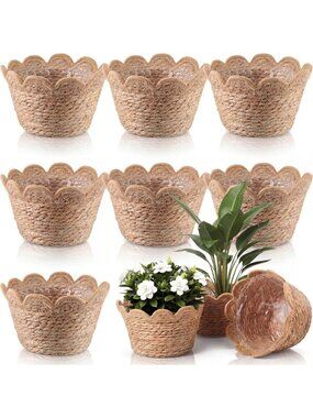 9-Piece Scalloped Seagrass Plant Basket Set - Medium Brown Home Decor